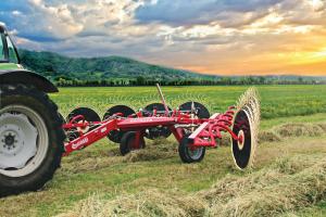 Enorossi 12 Wheel Rake