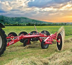 Enorossi 12 Wheel Rake